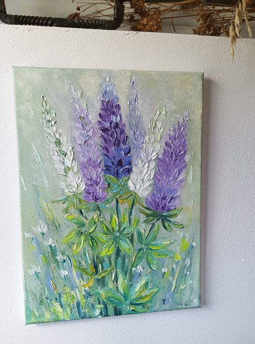 Lupinus — foto 2