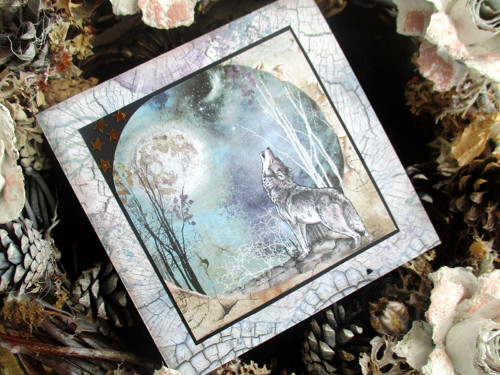 Vlk a úplněk — foto 2