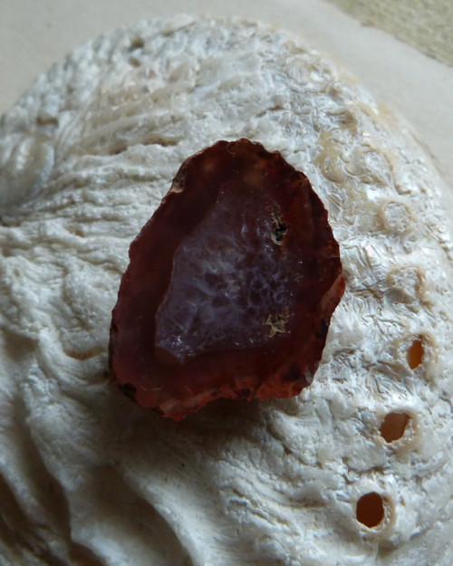 Achát - Doubravice ČR - 3,1 cm — foto 5