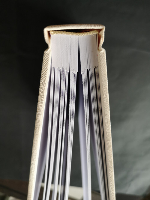 Fotoalbum — foto 2