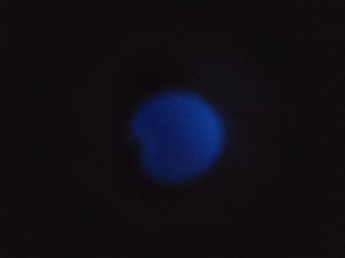 Modrá koule — foto 2