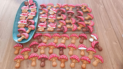 Muchomůrka - set — foto 6