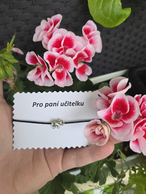 Slon pro štěstí, pro paní učitelku — foto 3