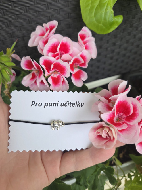 Slon pro štěstí, pro paní učitelku — foto 4