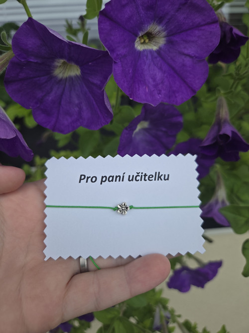 Kytička pro paní učitelku — foto 5
