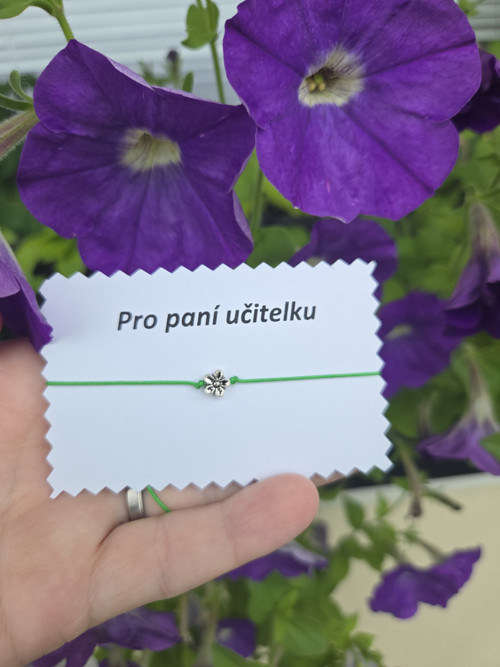 Kytička pro paní učitelku — foto 3