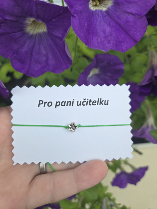 Kytička pro paní učitelku — foto 4