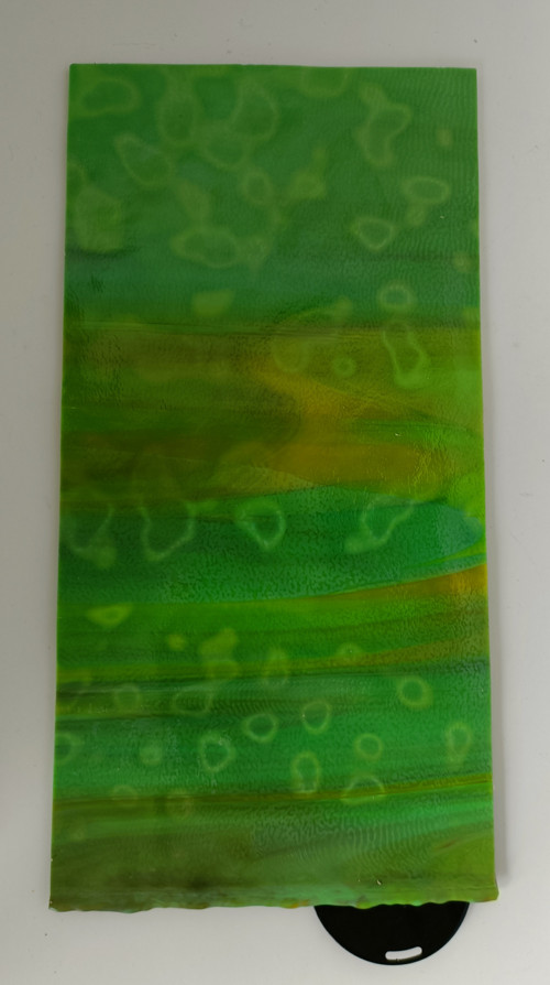 Lemna minor — foto 2