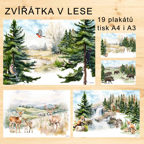 Zvířátka V Lese - Plakáty v Pdf — foto 2