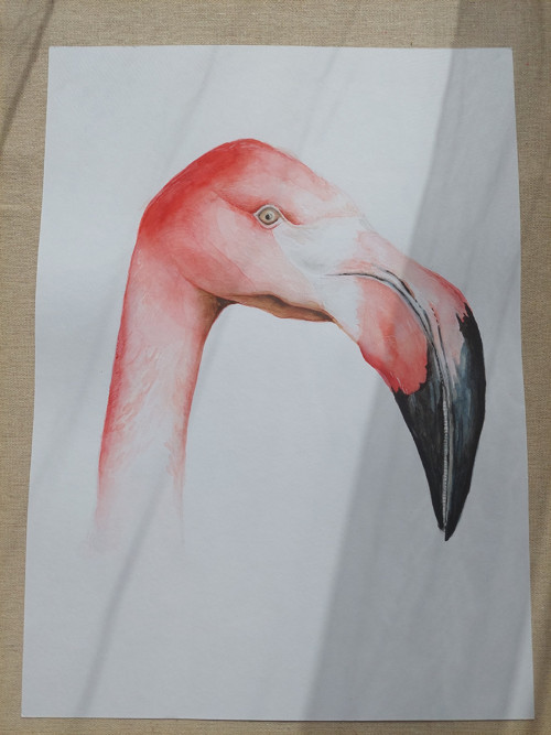 Akvarel plameňák originál A3 — foto 5