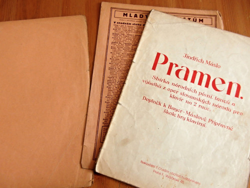 Pramen — foto 5