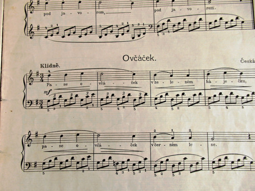 Pramen — foto 3