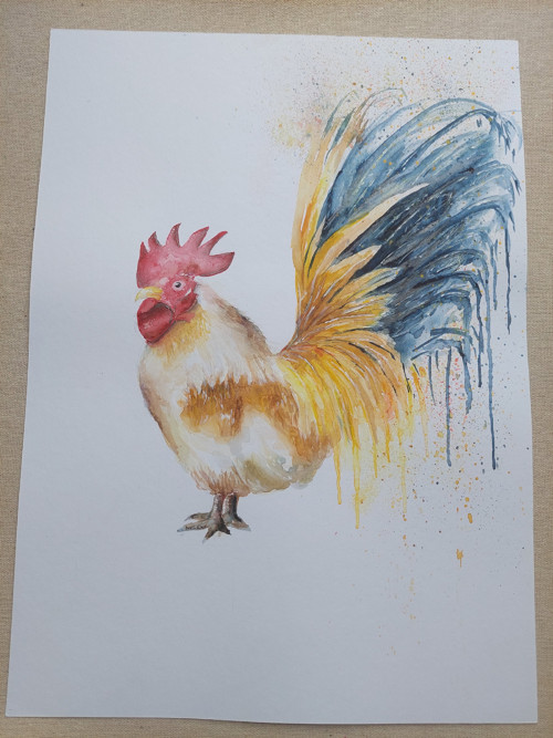 Akvarel kohout originál A3 — foto 4