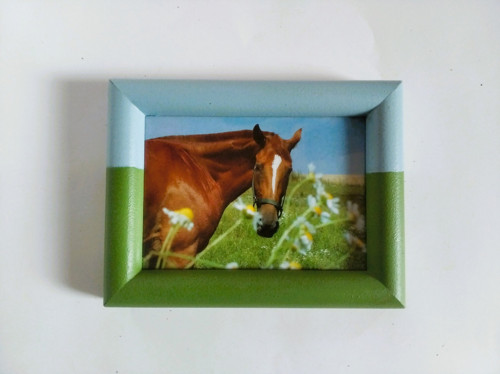 Obrázek - kůň — foto 2