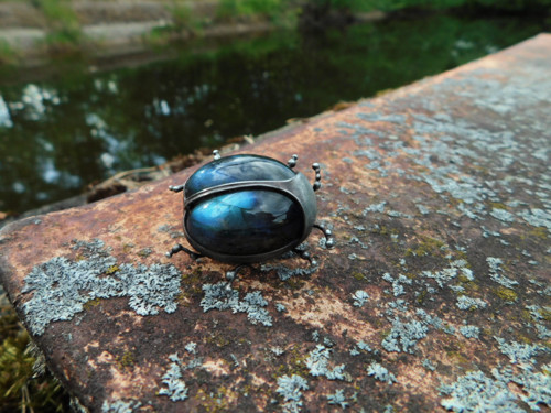 Chrysolina herbacea — foto 3