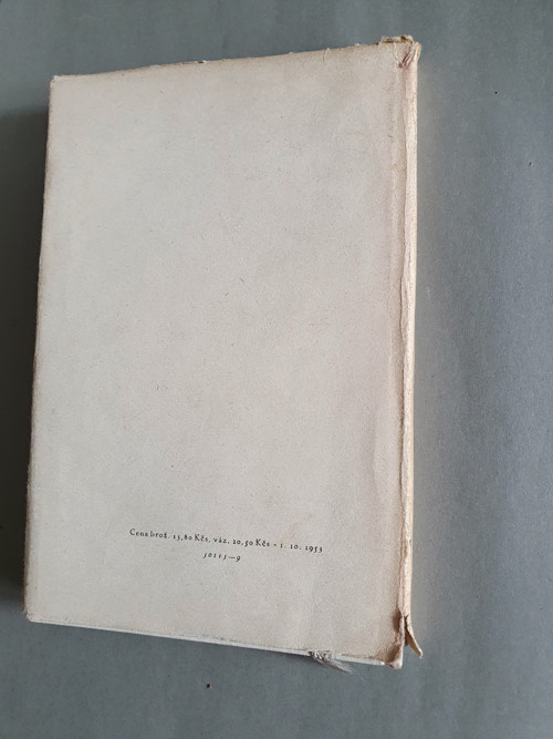 Pankrác Budeicius — foto 5
