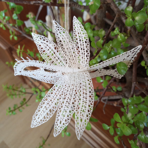 Holubička bílá — foto 2