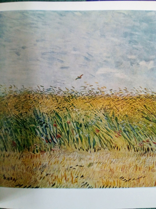 Vincent van Gogh — foto 4