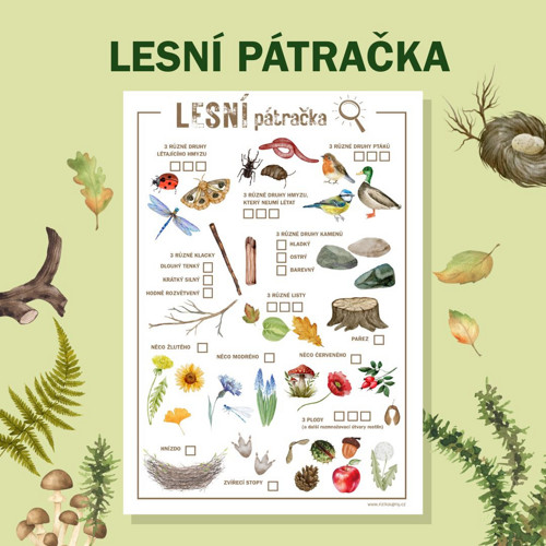 Lesní pátračka — foto 2