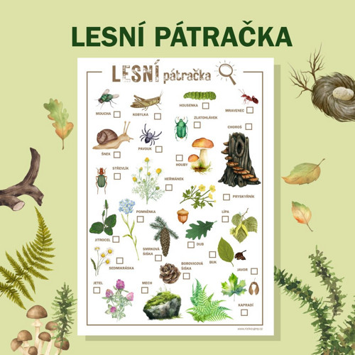 Lesní pátračka — foto 3