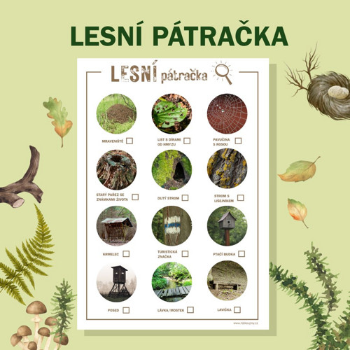 Lesní pátračka — foto 4