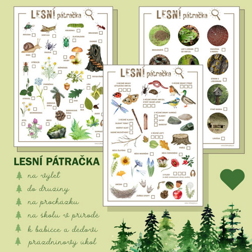 Lesní pátračka — foto 5