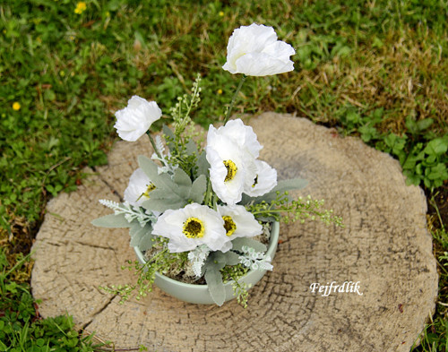 Bílé máky v misce .. — foto 3