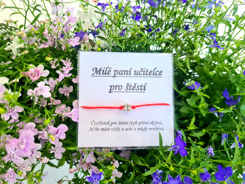 Paní učitelce — foto 2