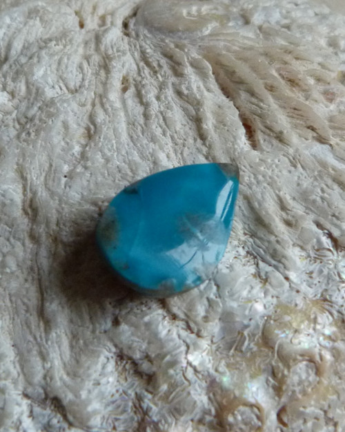 Tyrkys pravý - 1,9 cm - Extra! — foto 4