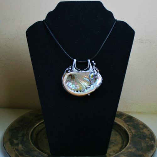 Přírodní lastura Abalone — foto 2