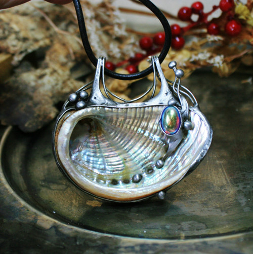Přírodní lastura Abalone — foto 4
