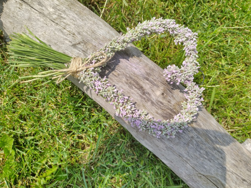 Růžové levandulové srdíčko — foto 3