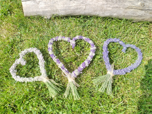 Růžové levandulové srdíčko — foto 2