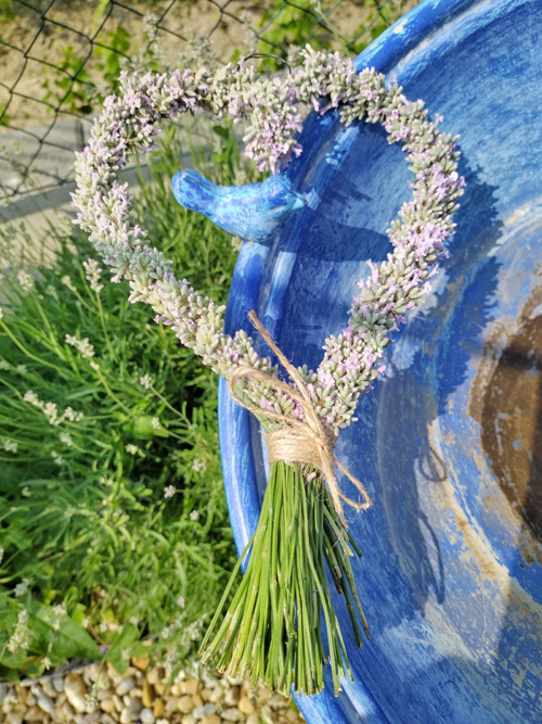 Růžové levandulové srdíčko — foto 4