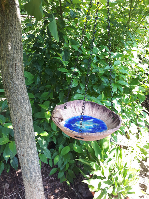 Studánka pro ptáčky, včelky, čmeláčky.... — foto 4