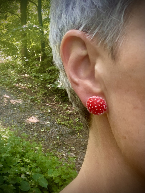 Muchomůrky — foto 5