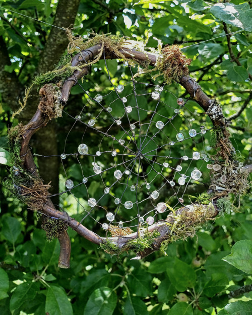 Pavučinka — foto 3