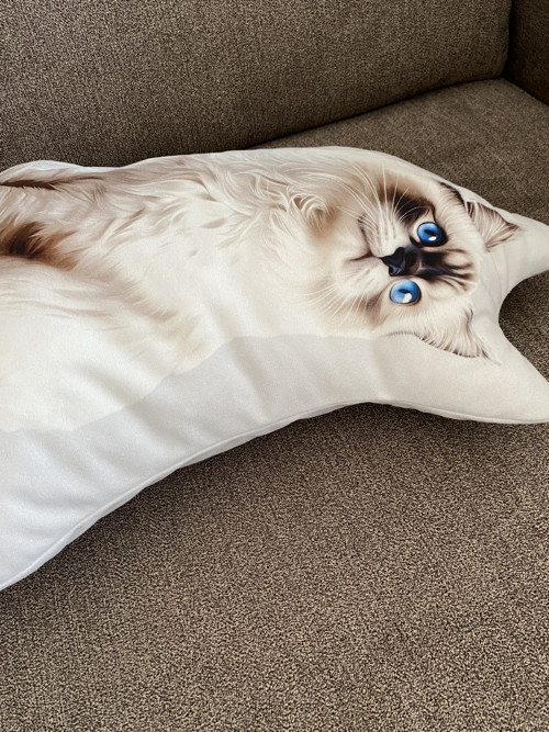 Polštář 3D - Ragdoll kočka — foto 2