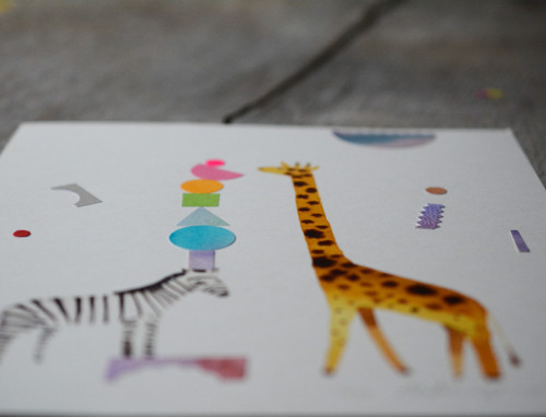 Zebra a žirafa — foto 3