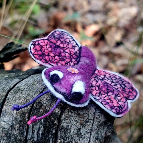 Butterfly — foto 6