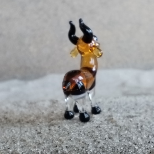 Antilopa — foto 4