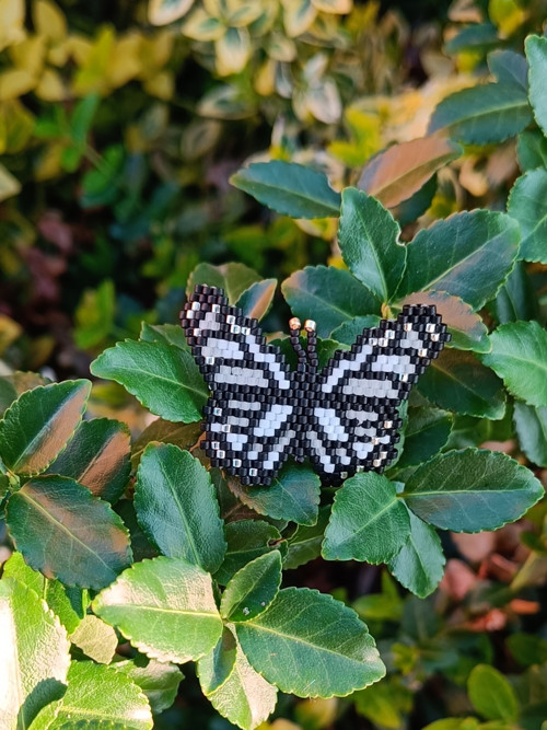 Motýlek v černobílé ... — foto 3