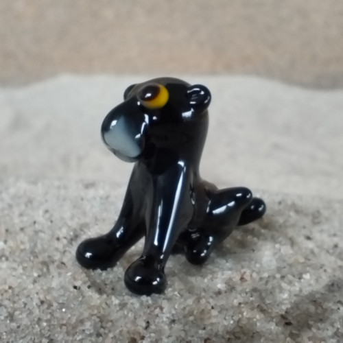 Panter černý sedící — foto 2