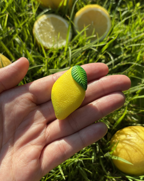 Citron (brož) — foto 2