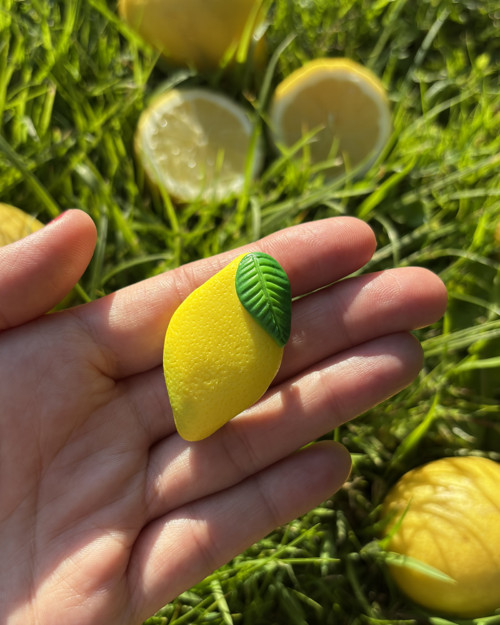 Citron (brož) — foto 3