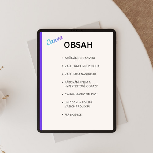 CANVA MASTER E-BOOK s PLR licencí — foto 3