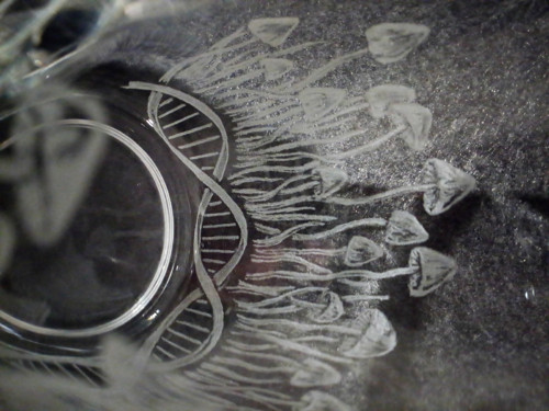 Houby magický — foto 3