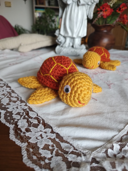 Roztomilá želvička — foto 2