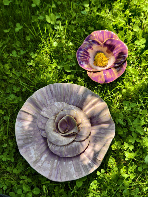 Růžová Orchidej — foto 2