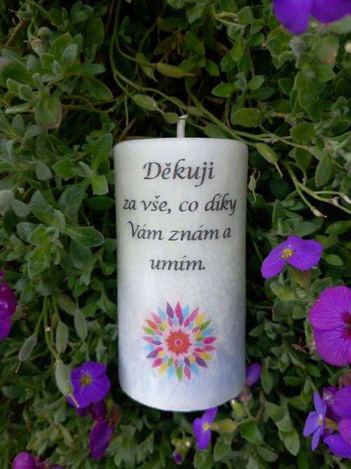 Děkuji I. — foto 2